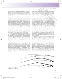 The Princeton Field Guide to Pterosaurs