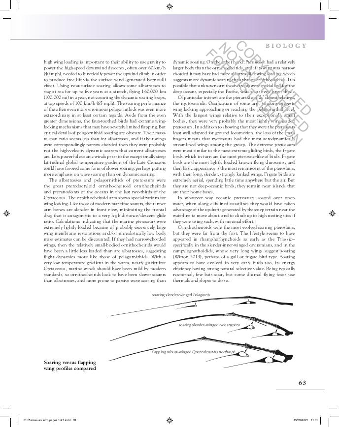 The Princeton Field Guide to Pterosaurs