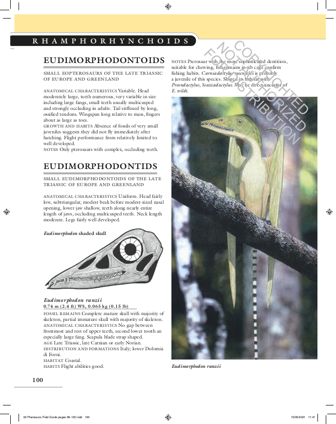 The Princeton Field Guide to Pterosaurs