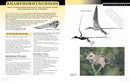 The Princeton Field Guide to Pterosaurs
