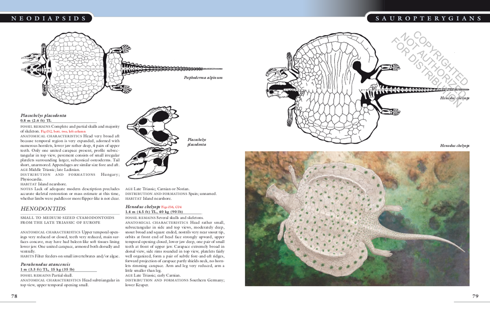 The Princeton Field Guide to Mesozoic Sea Reptiles