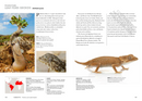 Lizards of the World