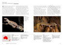 Lizards of the World