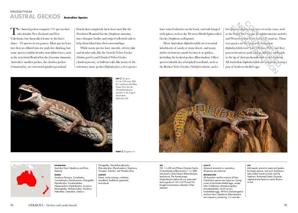 Lizards of the World