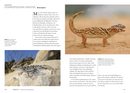 Lizards of the World