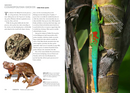 Lizards of the World