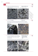 Rocks and Rock Formations