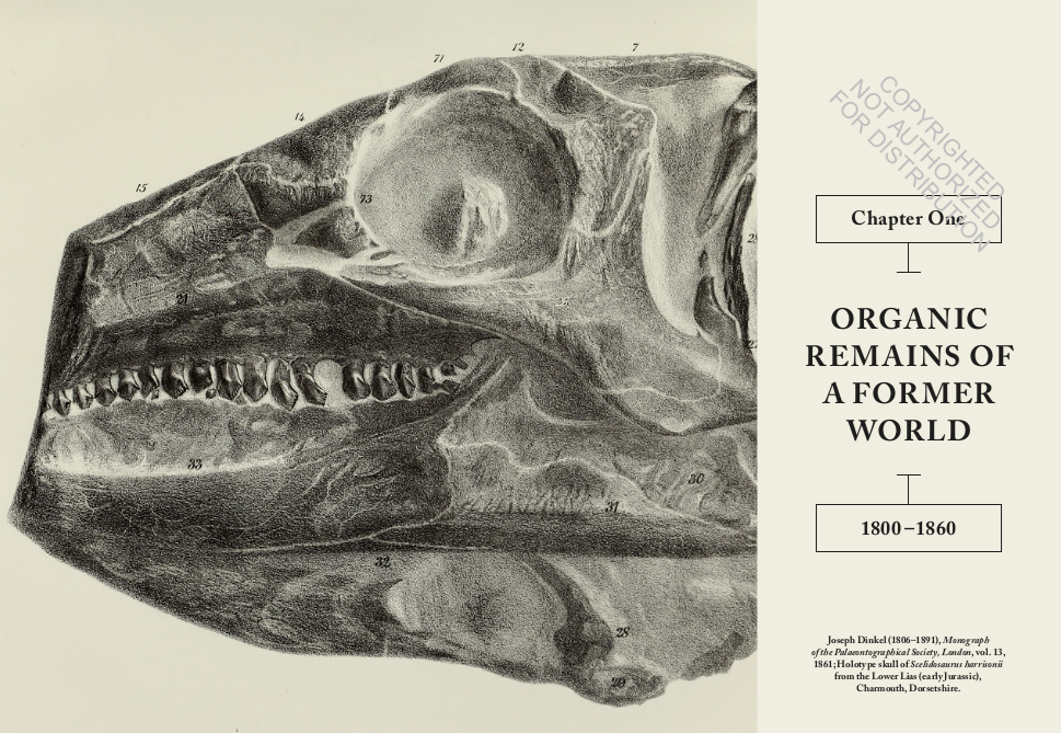 Paleontology