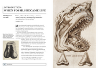 Paleontology