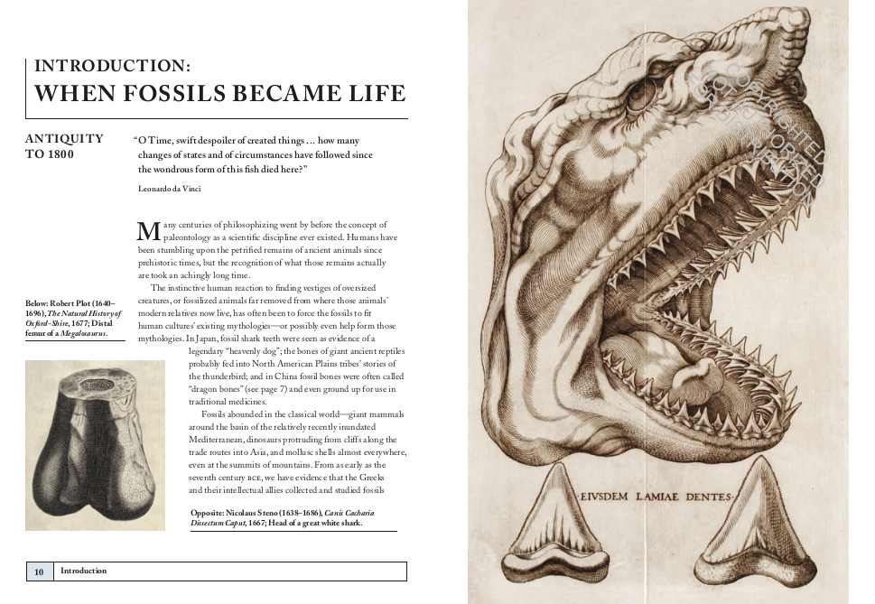 Paleontology