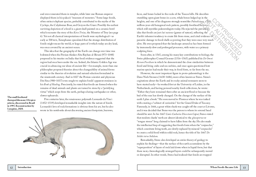 Paleontology