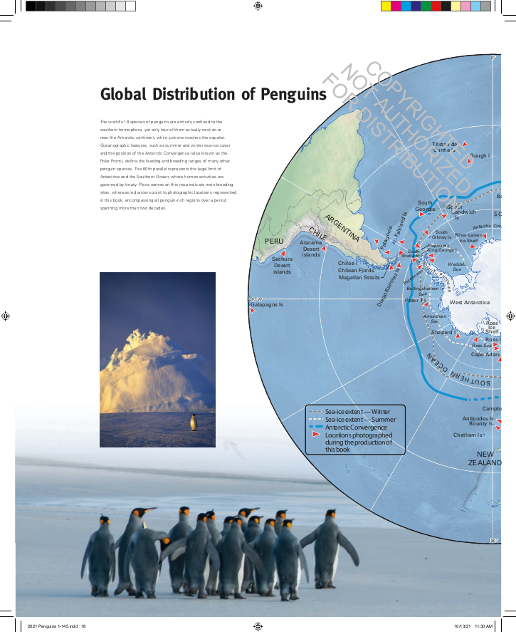 Penguins