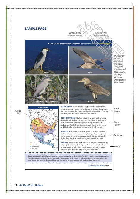 All About Birds Midwest