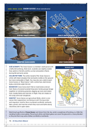 All About Birds Midwest