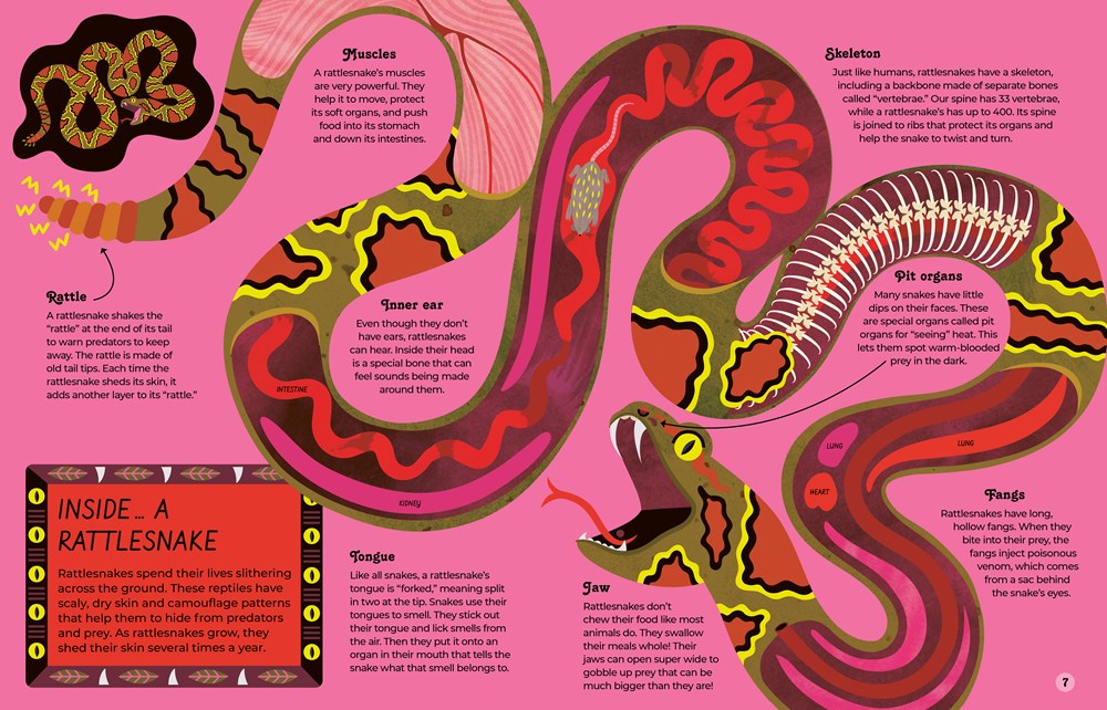 Inside Animals