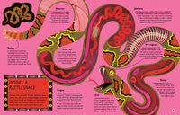 Inside Animals