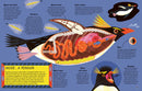Inside Animals