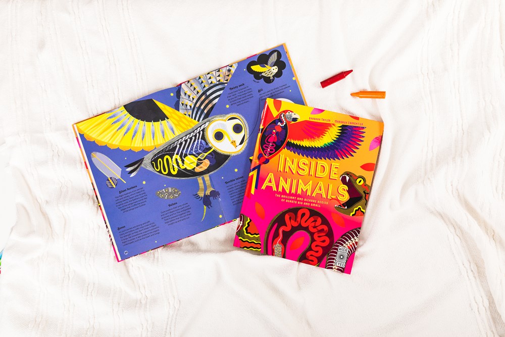 Inside Animals
