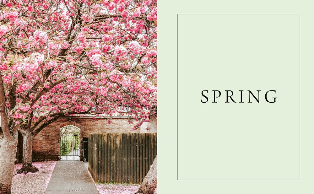 Pretty Little London