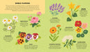 Little Homesteader: A Spring Treasury of Recipes, Crafts, and Wisdom