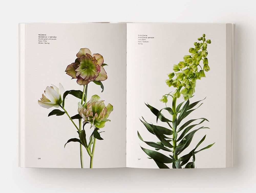 Flower Color Guide
