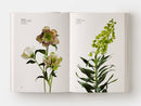Flower Color Guide