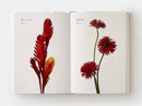 Flower Color Guide