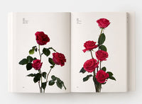 Flower Color Guide
