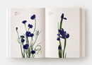 Flower Color Guide