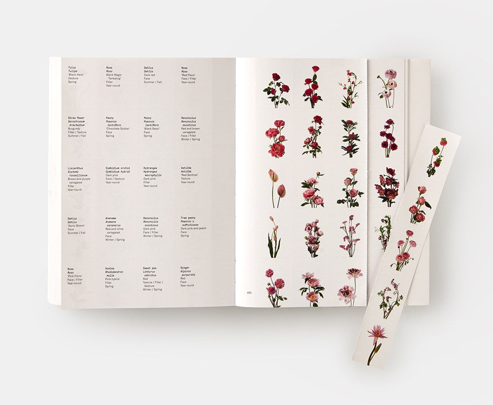 Flower Color Guide