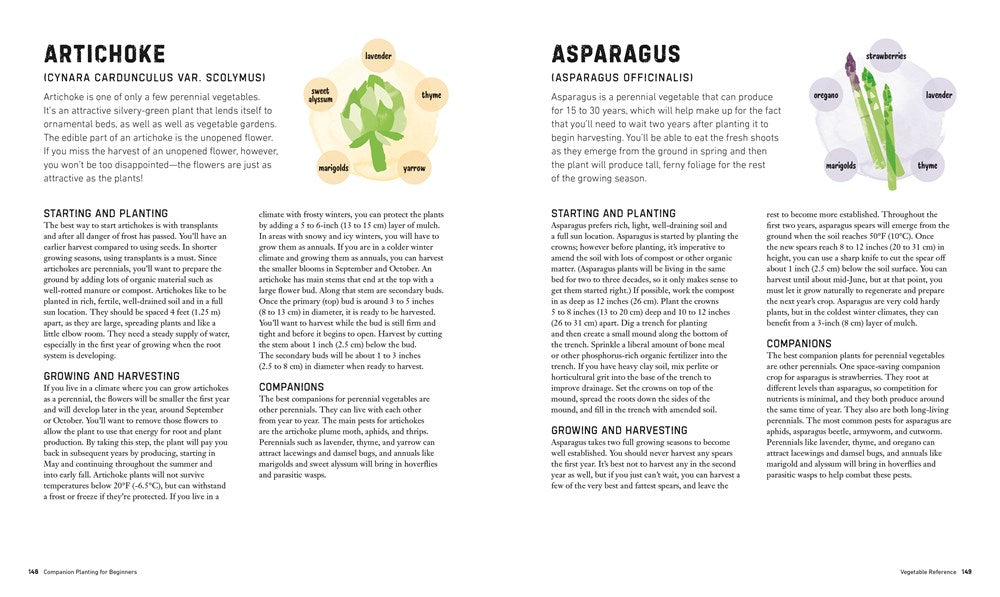 Companion Planting for Beginners: Pair Your Plants for a Bountiful, Chemical-Free Vegetable Garden