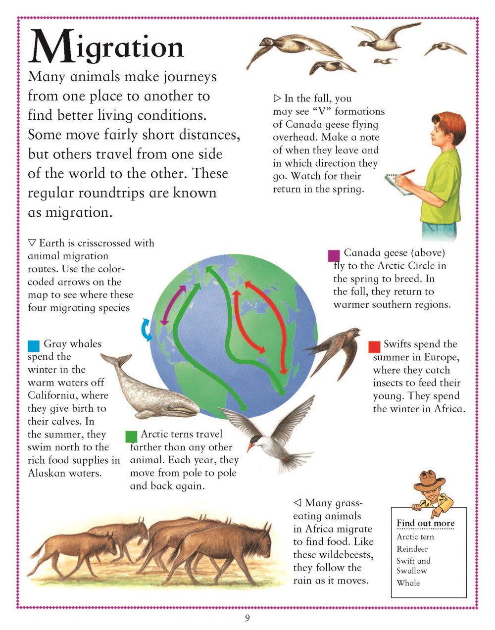 My First Encyclopedia of Animals