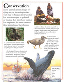 My First Encyclopedia of Animals