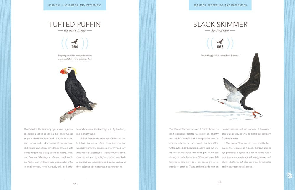 Bird Songs: 250 North American Birds in Song