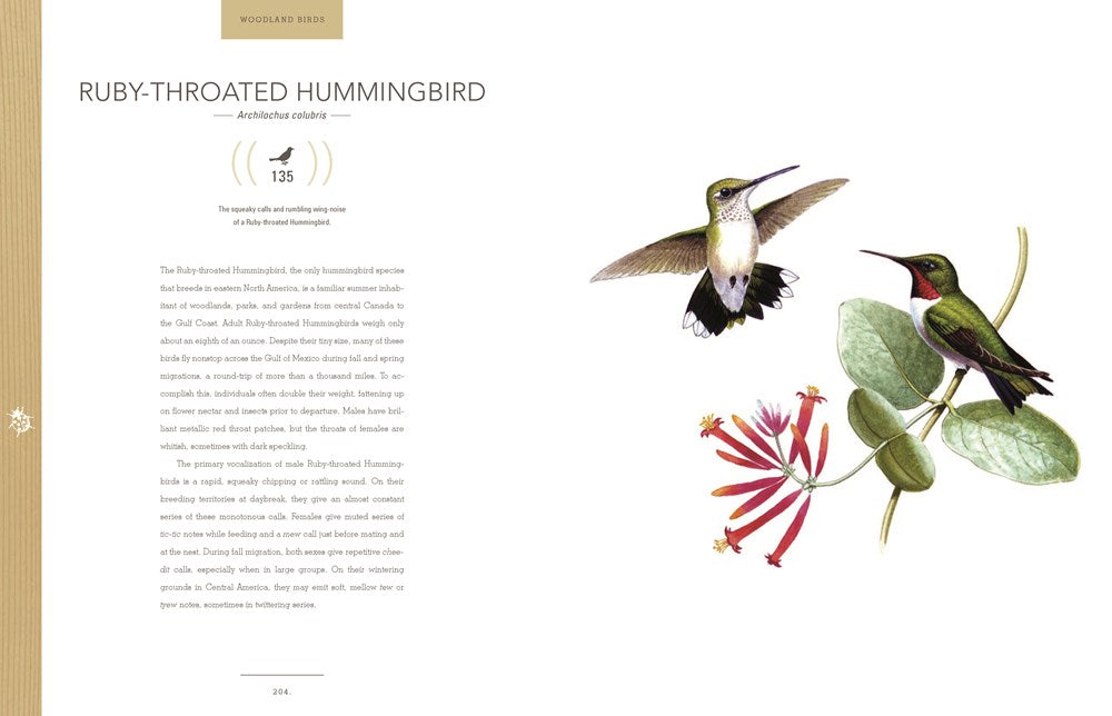 Bird Songs: 250 North American Birds in Song