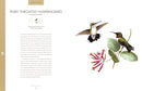 Bird Songs: 250 North American Birds in Song
