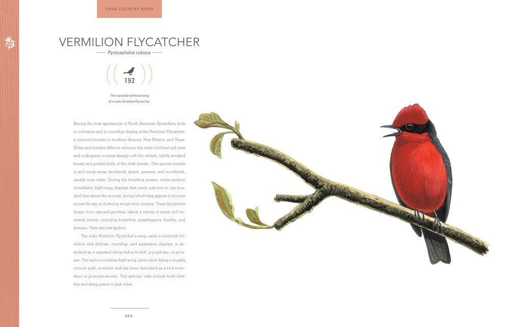 Bird Songs: 250 North American Birds in Song