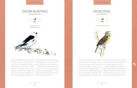 Bird Songs: 250 North American Birds in Song