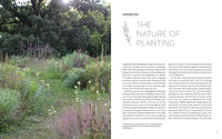 New Naturalism