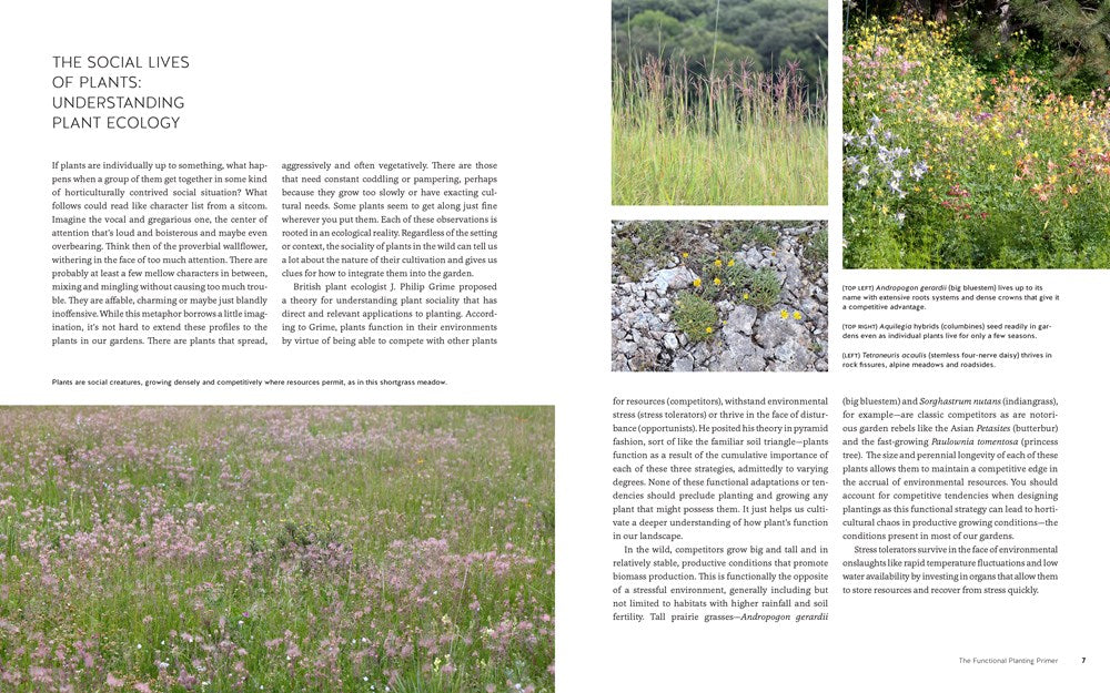 New Naturalism