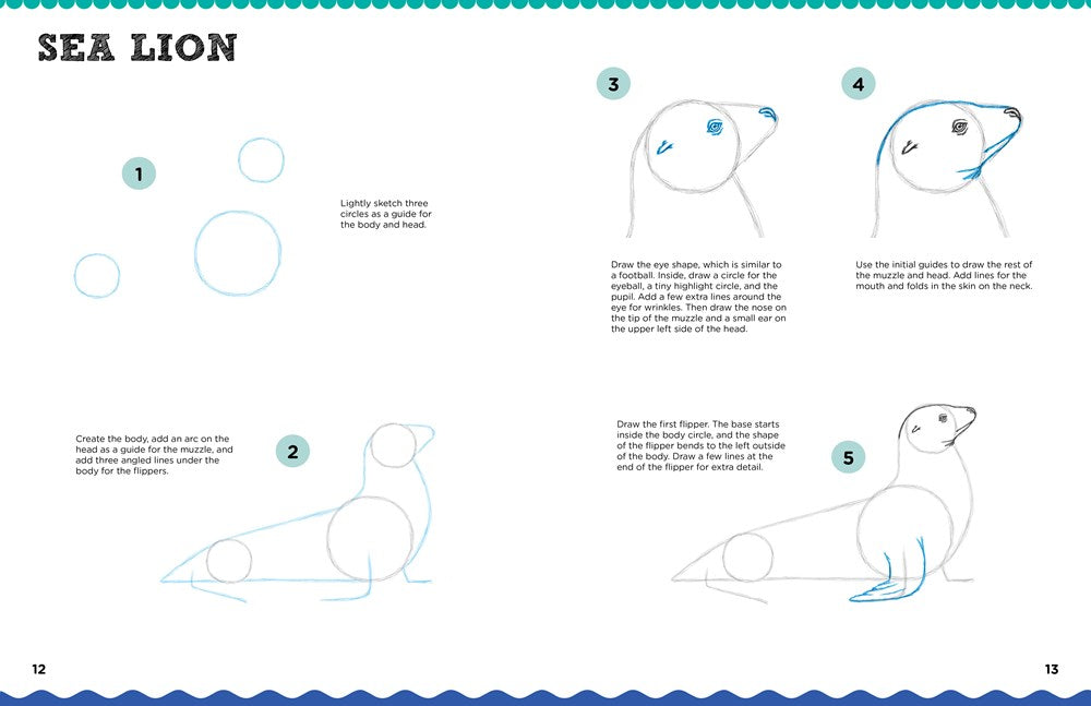 Let's Draw Sea Creatures