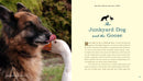 Unlikely Friendships: Dogs