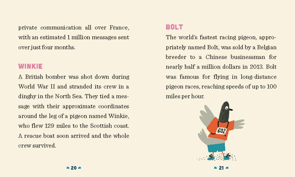 Mini Office Messenger Pigeon