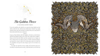 Star Stories