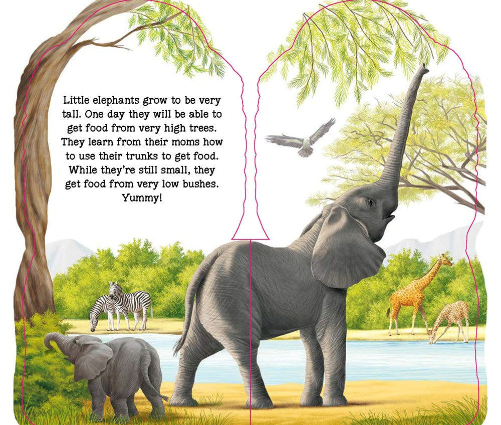 Little Elephant
