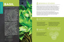 Essential Oils: Ancient Medicine