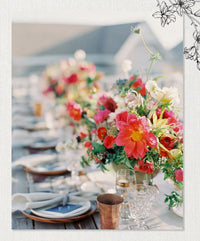 The Sweet Magnolias Cookbook