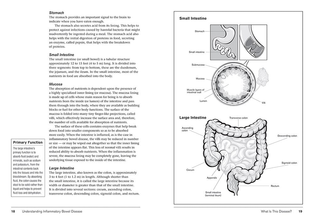 Crohn's and Colitis
