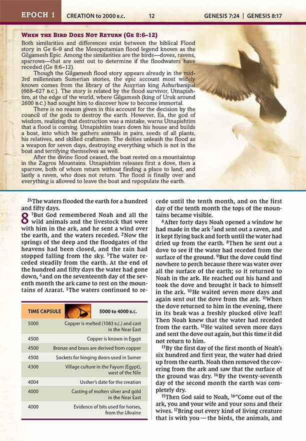 NIV, Chronological Study Bible, Hardcover, Comfort Print