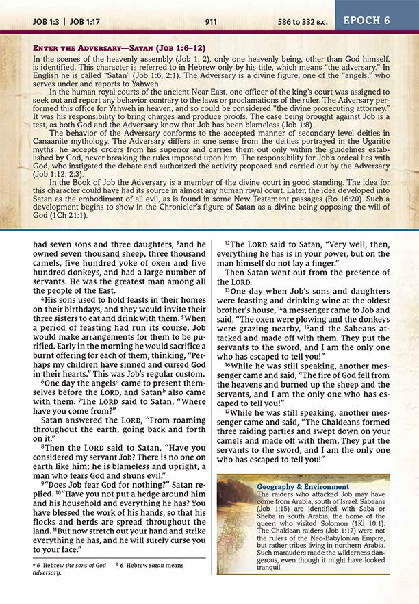 NIV, Chronological Study Bible, Hardcover, Comfort Print